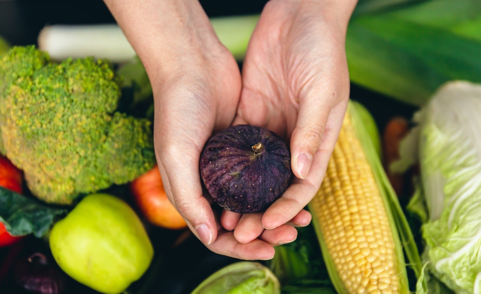 Soberanía alimentaria